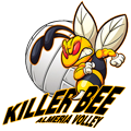 Club Almería Volley Killer Bee